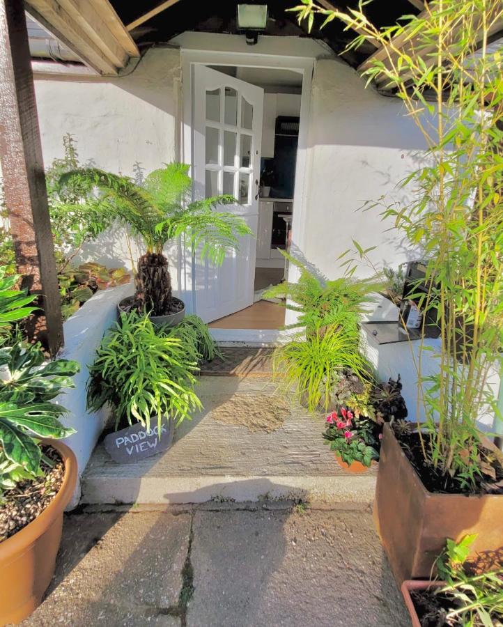 Idyllic Cornish Cottage, Superking Bed, Private Garden Dogs Welcome Truro Dış mekan fotoğraf