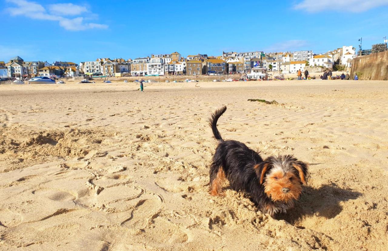 Idyllic Cornish Cottage, Superking Bed, Private Garden Dogs Welcome Truro Dış mekan fotoğraf